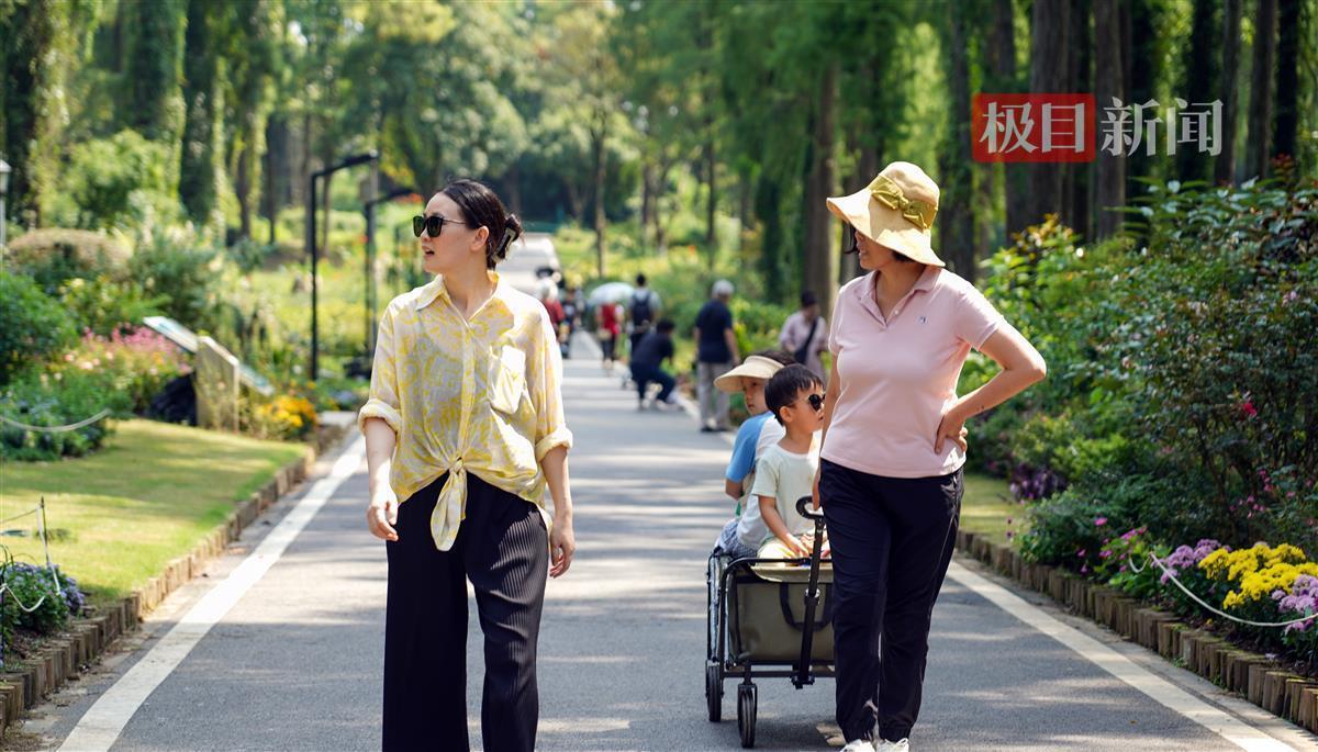 投币老虎机 奔驰宝马